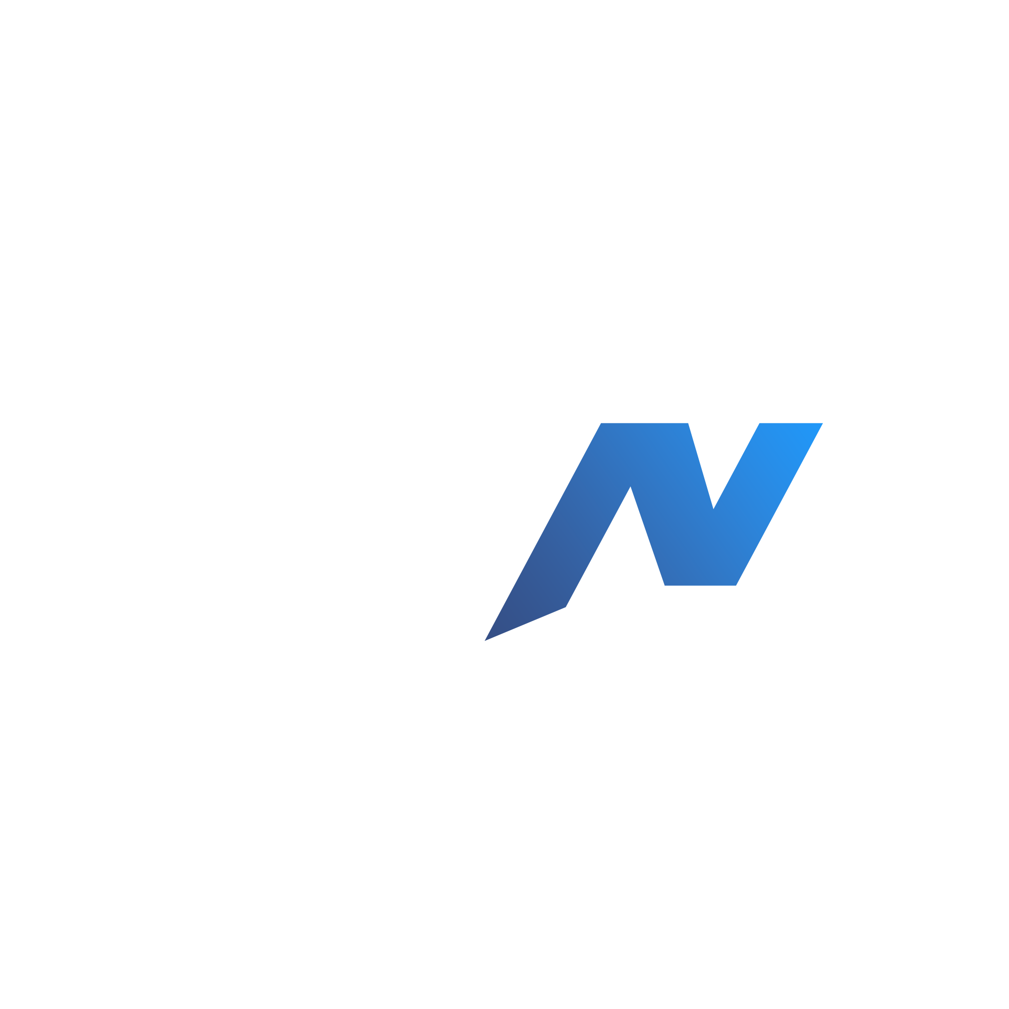 WarnNuis Logo